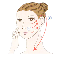 ① 顔の中央から耳に向かって持ち上げるように。② 耳の後ろから首筋ぞいに鎖骨に向かって。